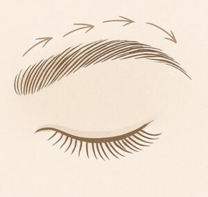 福岡 4D毛並み眉アートメイクのデザイン図解