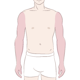 メンズ腕