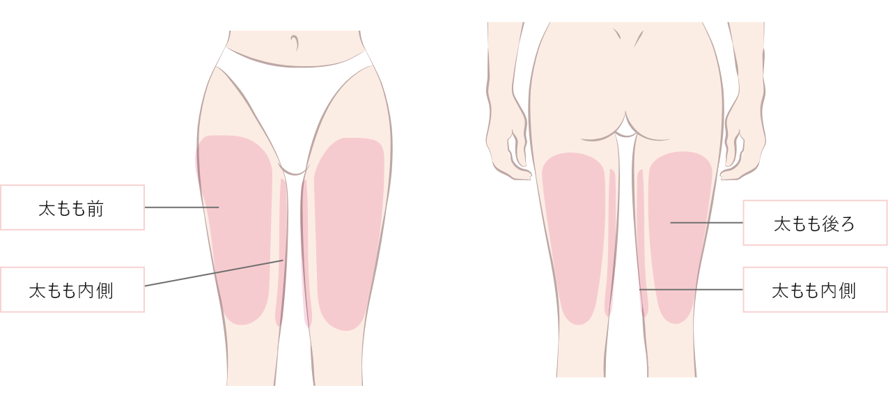 体 ーMパーツー