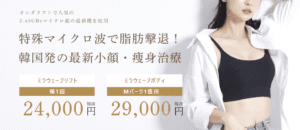 ミラウェーブ・ミラウェーブボディ（オンダリフトタイプ）