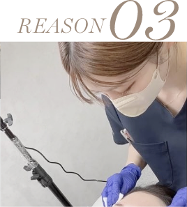 reason03