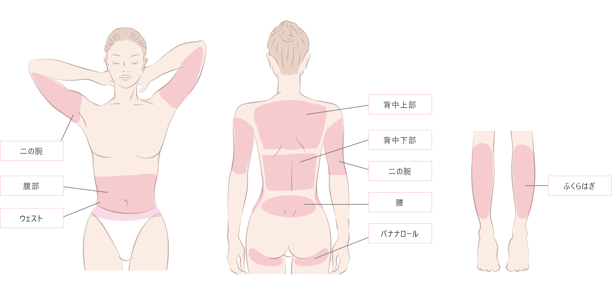 体 ーMパーツー